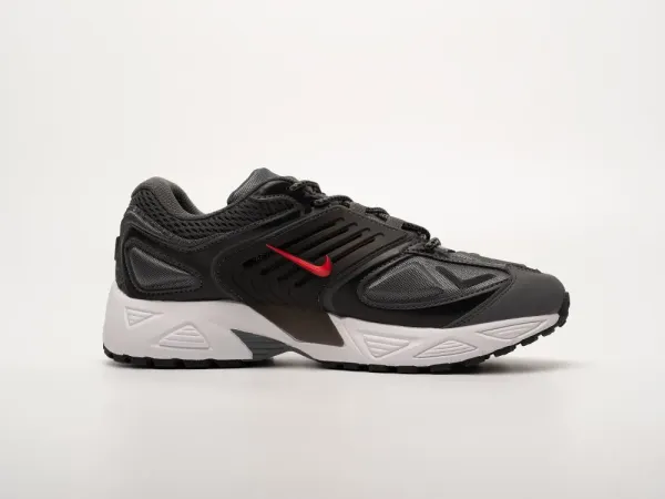 Кроссовки Nike Air Pegasus 2K5 - 43171