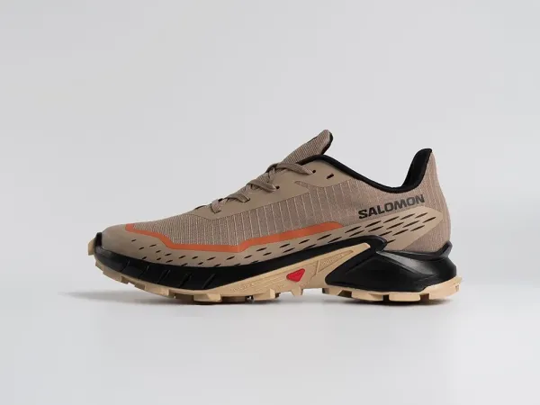 Кроссовки Salomon Alphacross 5 GTX - 45210