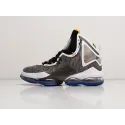 Кроссовки Nike Lebron XIX - 30005