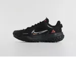 Кроссовки Nike ACG Mountain Fly 2 Low - 40265