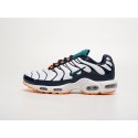 Кроссовки Nike Air Max Plus TN - 41920
