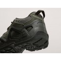 Ботинки LOWA Zephyr GTX Low - цвет Зеленый