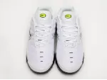 Кроссовки Nike Air Max Plus TN - 41923
