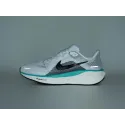Кроссовки Nike Air Zoom Pegasus 41 - 43208