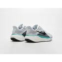 Кроссовки Nike Air Zoom Pegasus 41 - 43208