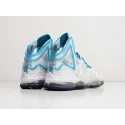 Кроссовки Nike Lebron XIX - 30004