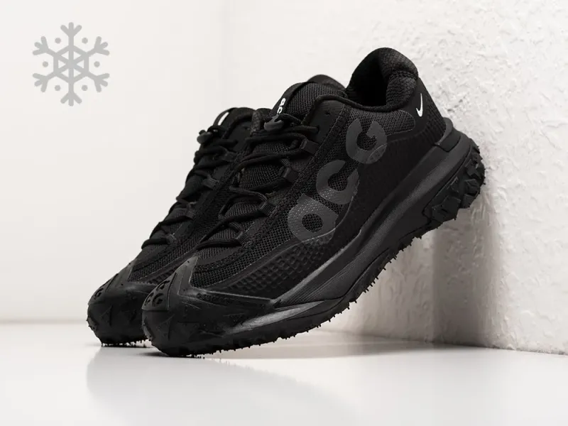 Зимние кроссовки Nike ACG Mountain Fly 2 Low - 38713