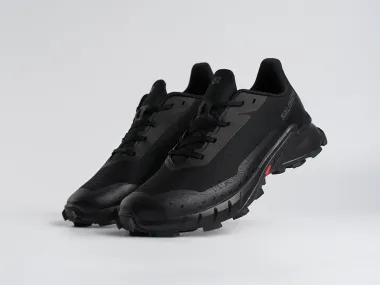 Кроссовки Salomon Alphacross 5 GTX - 45203