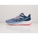Кроссовки Nike Air Zoom Pegasus 39 - 29771