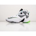 Кроссовки Nike Lebron 13 - 39041