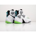 Кроссовки Nike Lebron 13 - 39041