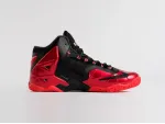 Кроссовки Nike Lebron 11 - 1160