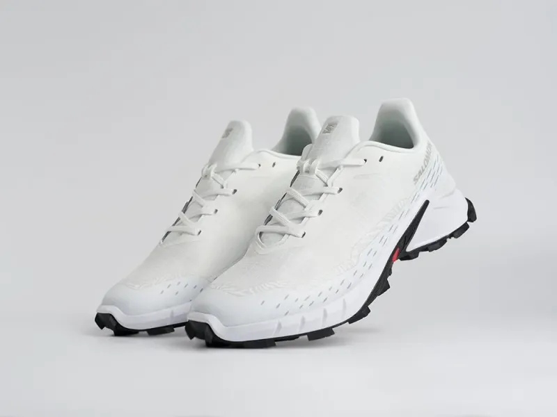 Кроссовки Salomon Alphacross 5 GTX - 45204