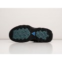 Кроссовки Nike AСG Air Zoom Gaiadome GORE-TEX - 37972