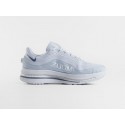 Кроссовки Nike Pegasus Premium - цвет Голубой