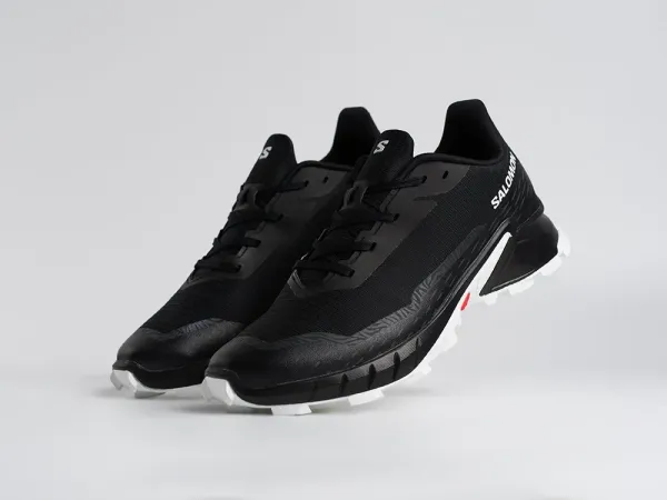 Кроссовки Salomon Alphacross 5 GTX - 45206
