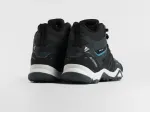 Зимние Ботинки Adidas Terrex Winter - 46965
