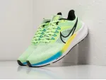 Кроссовки Nike Air Zoom Pegasus 39 - 32184