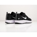 Кроссовки Nike Air Pegasus 30+ - 37031