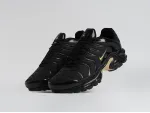 Кроссовки Nike Air Max Plus TN - 45270