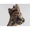 Ботинки - 44490