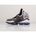 Кроссовки Nike Lebron XIX - 30005