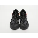 Кроссовки Nike ACG Air Terra Antarktik Low - 42970