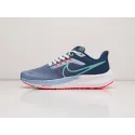 Кроссовки Nike Air Zoom Pegasus 39 - 29771