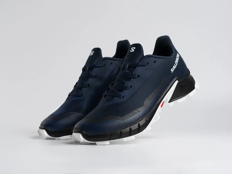 Кроссовки Salomon Alphacross 5 GTX - 45208