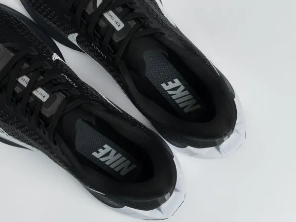 Кроссовки Nike Pegasus Plus - 43252