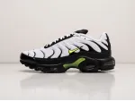 Кроссовки Nike Air Max Plus TN - 30286