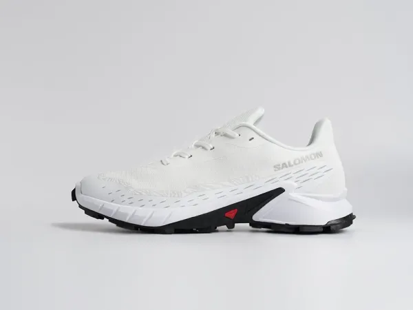 Кроссовки Salomon Alphacross 5 GTX - 45204