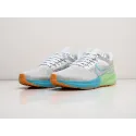 Кроссовки Nike Air Zoom Pegasus 39 - 29642