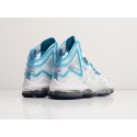 Кроссовки Nike Lebron XIX - 30004