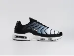Кроссовки Nike Air Max Plus TN - 44443