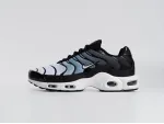 Кроссовки Nike Air Max Plus TN - 44443