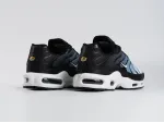 Кроссовки Nike Air Max Plus TN - 44443