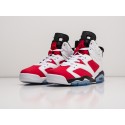 Кроссовки Nike Air Jordan 6 - 22598