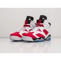 Кроссовки Nike Air Jordan 6 - 22598