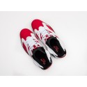 Кроссовки Nike Air Jordan 6 - 22598