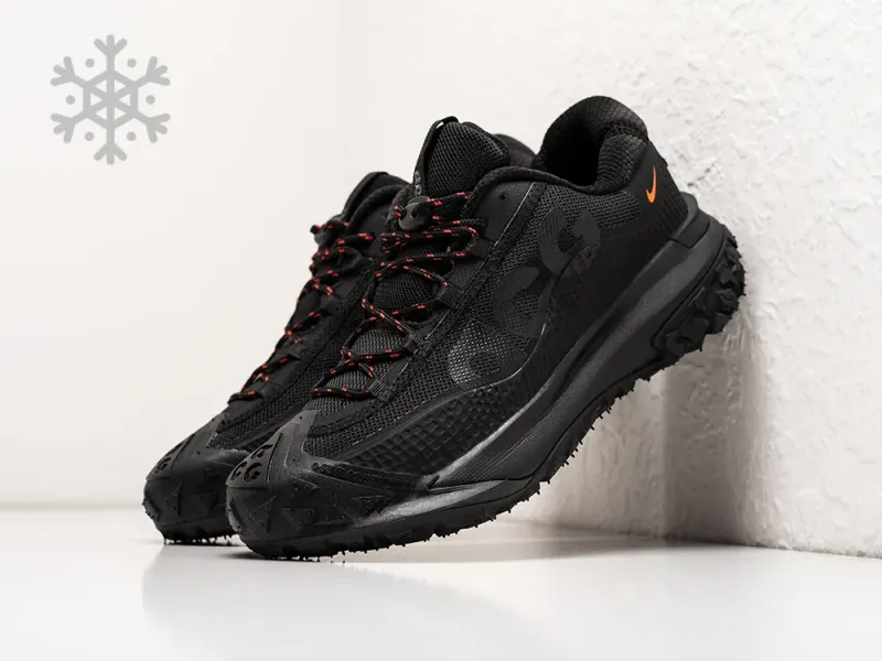 Зимние кроссовки Nike ACG Mountain Fly 2 Low - 38711