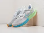 Кроссовки Nike Air Zoom Pegasus 39 - 29642