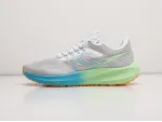 Кроссовки Nike Air Zoom Pegasus 39 - 29642