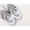 Кроссовки Nike Air Pegasus 2K5 - 43176