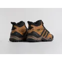 Зимние Ботинки Adidas Terrex Winter - 43807