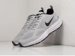 Кроссовки Nike Air Pegasus 30+ - 37034