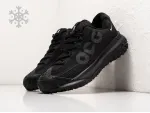 Зимние кроссовки Nike ACG Mountain Fly 2 Low - 38713
