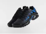 Кроссовки Nike Air Max Plus - 47036