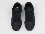 Кроссовки Nike Air Max Plus - 47036